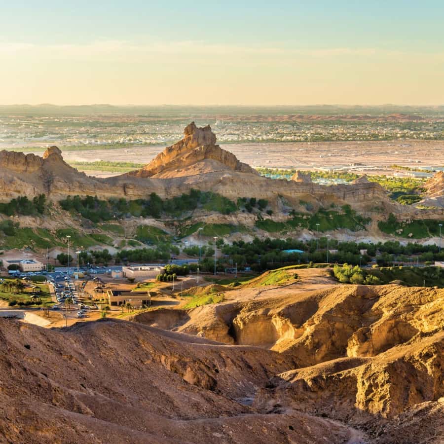 No Abū Dabī: Al Ain visas dienas ekskursija ar pusdienām | GetYourGuide