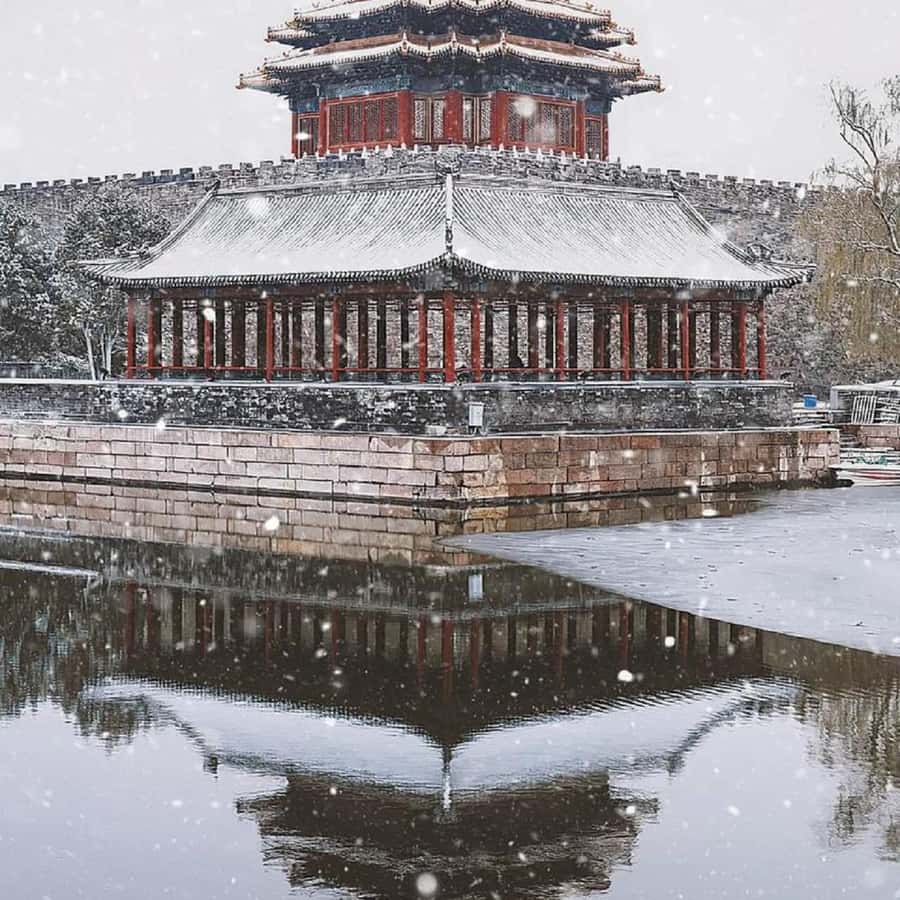中国、北京 | 紫禁城 + 景山公園の徹底した文化ツアー - 北京