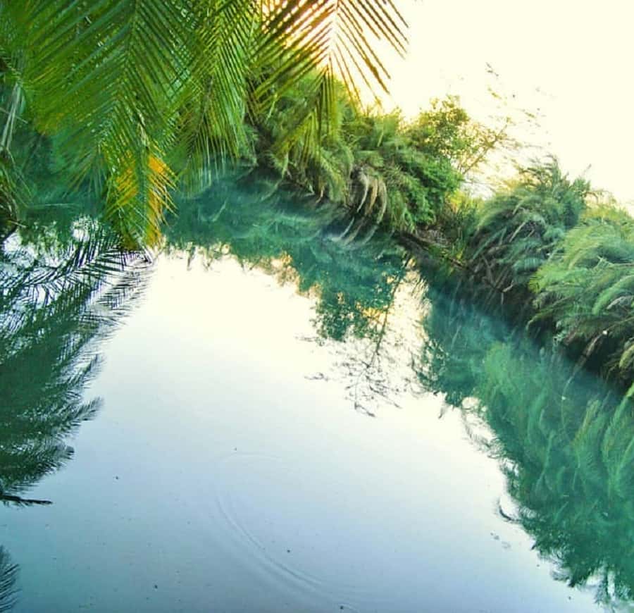 Colagem de mídia