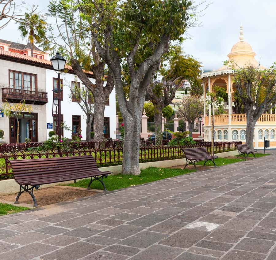 Galería de fotos para redes