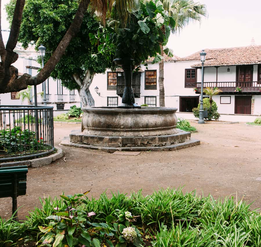 Galería de fotos para redes