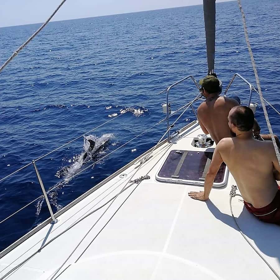 Galería de fotos para redes