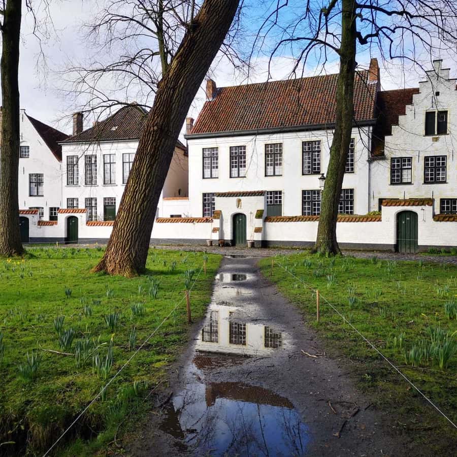 Kolaż medialny