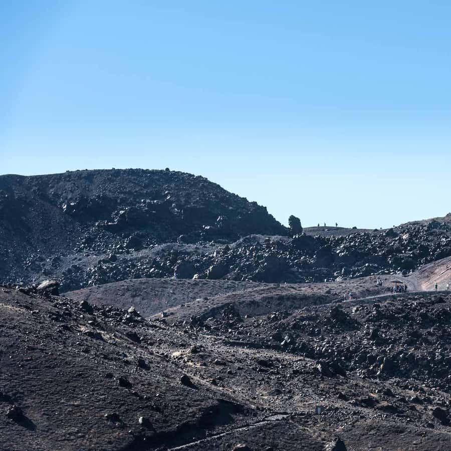 Galería de fotos para redes