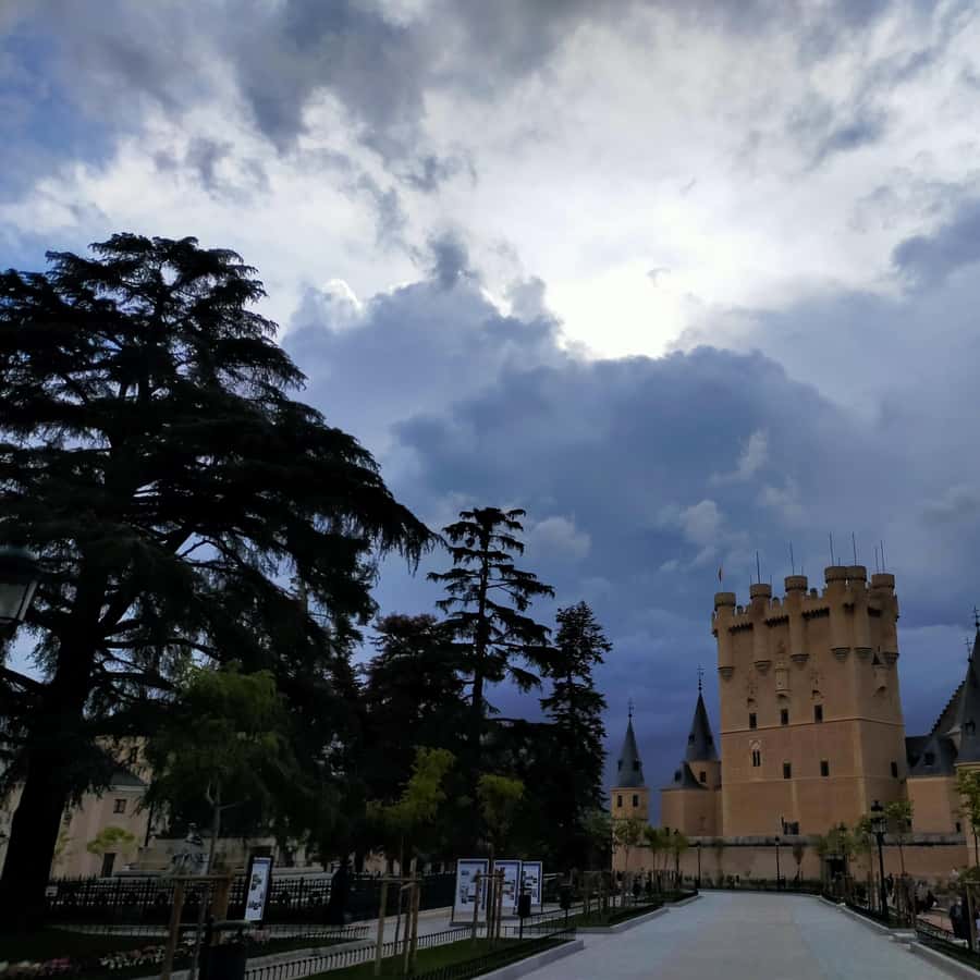 Galería de fotos para redes