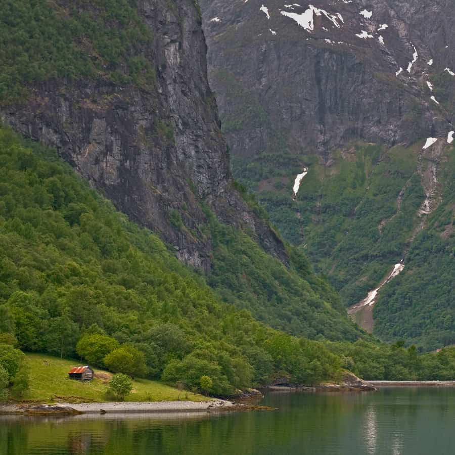 Fjords: Private Trip with Train and Cruise Ride
