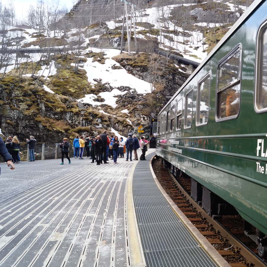 Fjords: Private Trip with Train and Cruise Ride