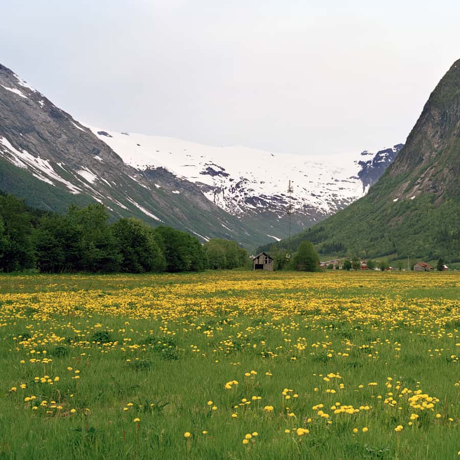 Fjords: Private Trip with Train and Cruise Ride