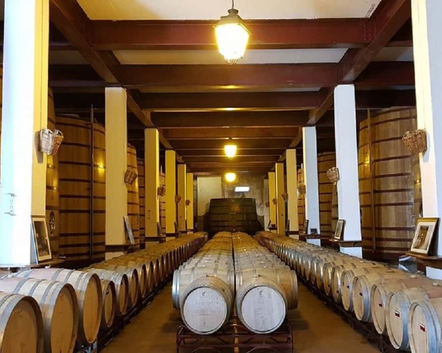 Colagem de mídia
