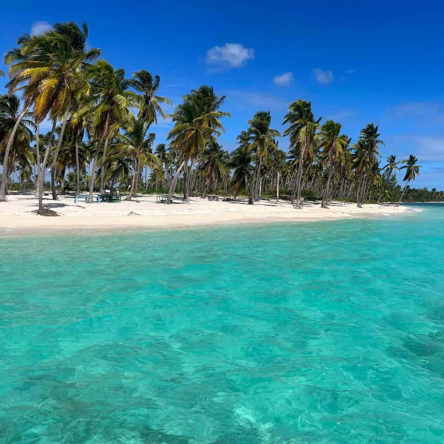 Issuu, image size:900x900