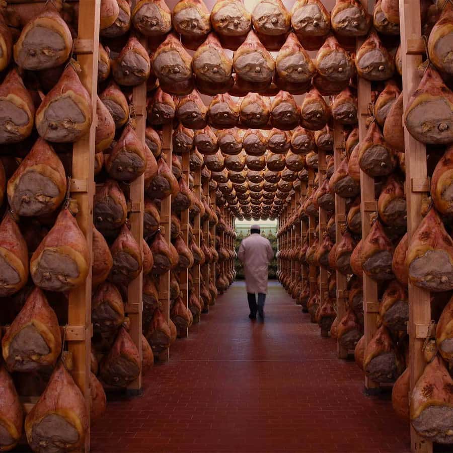 Galerie média
