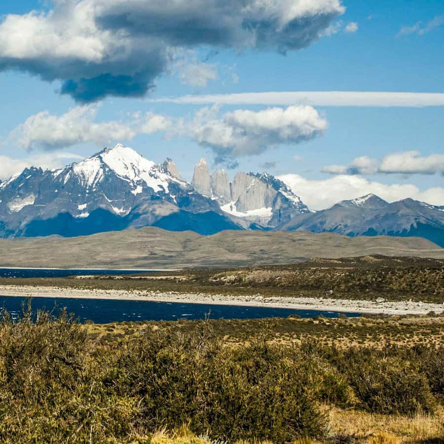 Galería de fotos para redes