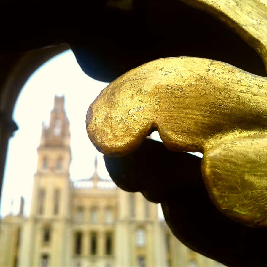 Galería de fotos para redes