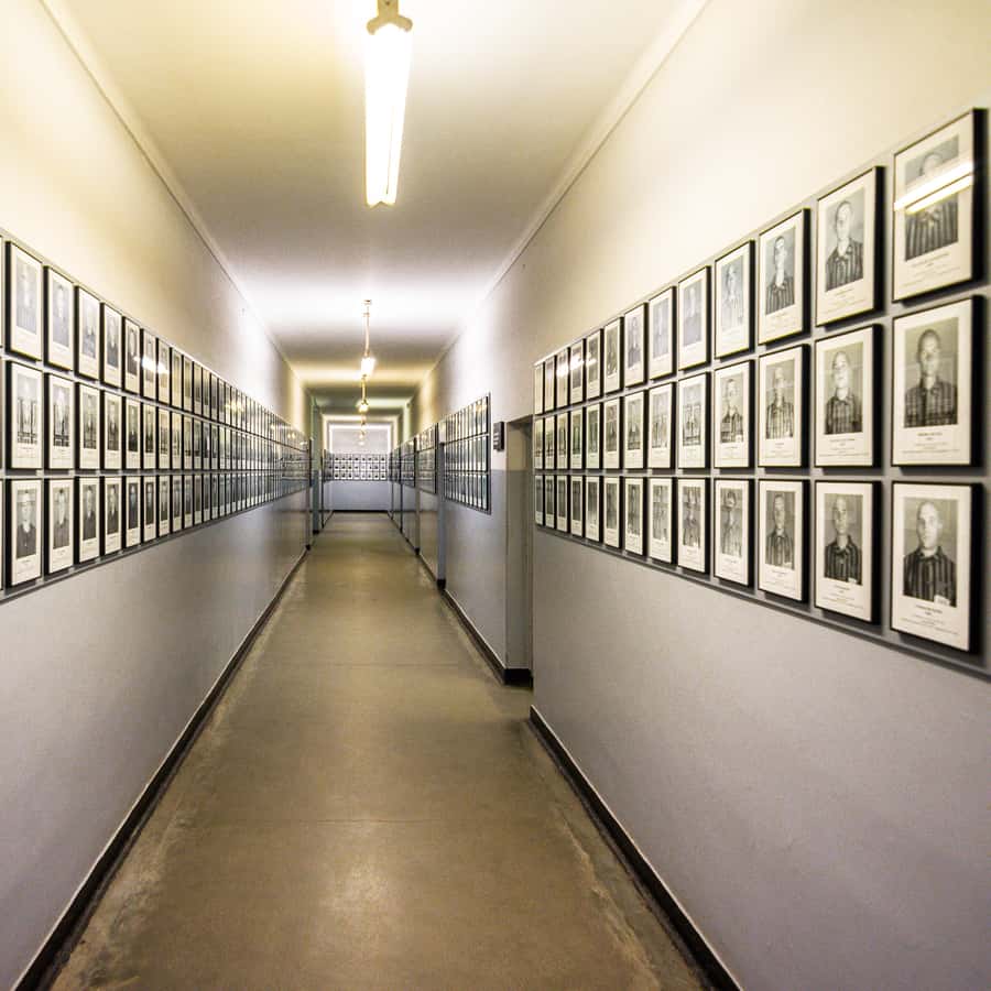 Galerie média