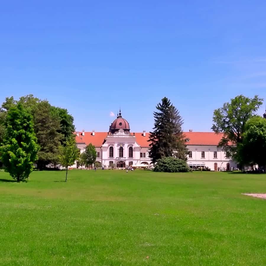 Kolaż medialny