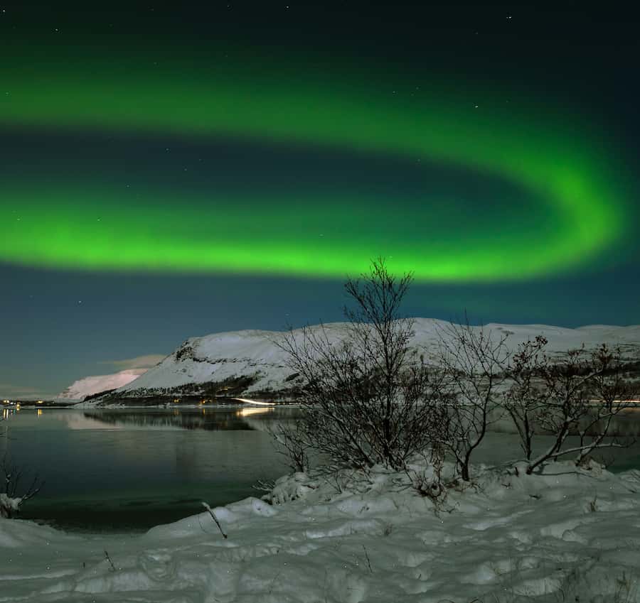 From Reykjavik: Northern Lights Tour with Lifetime Guarantee