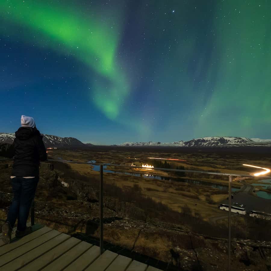 From Reykjavik: Northern Lights Tour with Lifetime Guarantee
