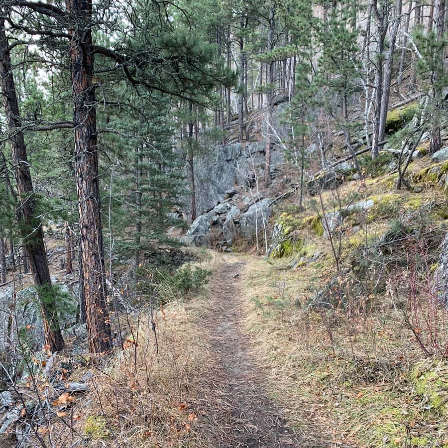 Black Hills: Privat tur til Rushmore Flume Trail Fottur