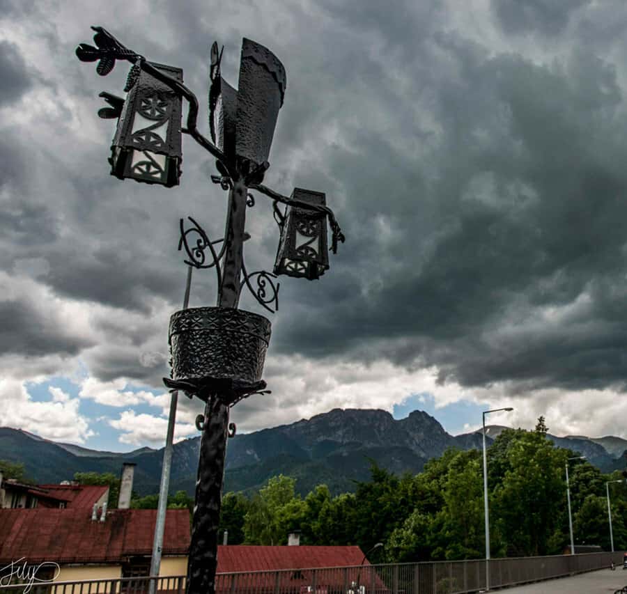 Galería de fotos para redes