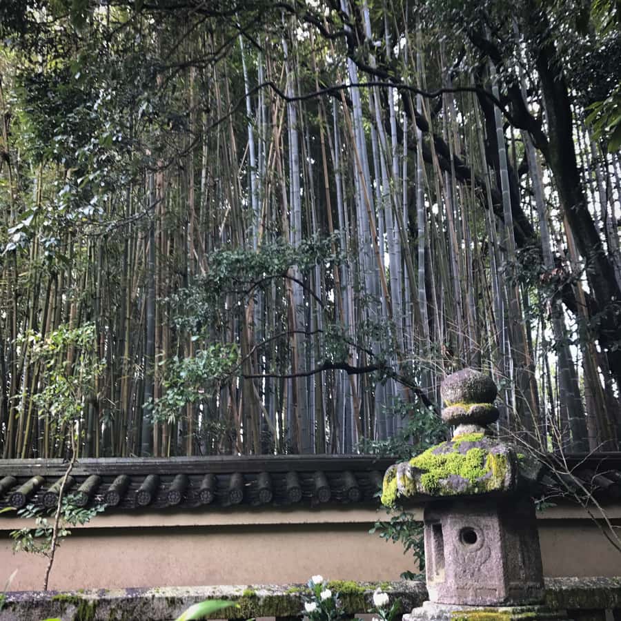 メディア コラージュ
