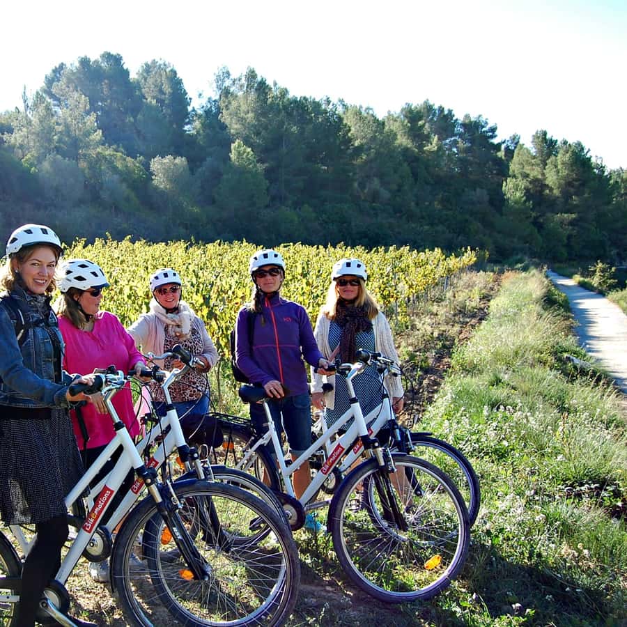 Barcelona: Guided Half-Day Wine and Electric Bike Tour GetYourGuide