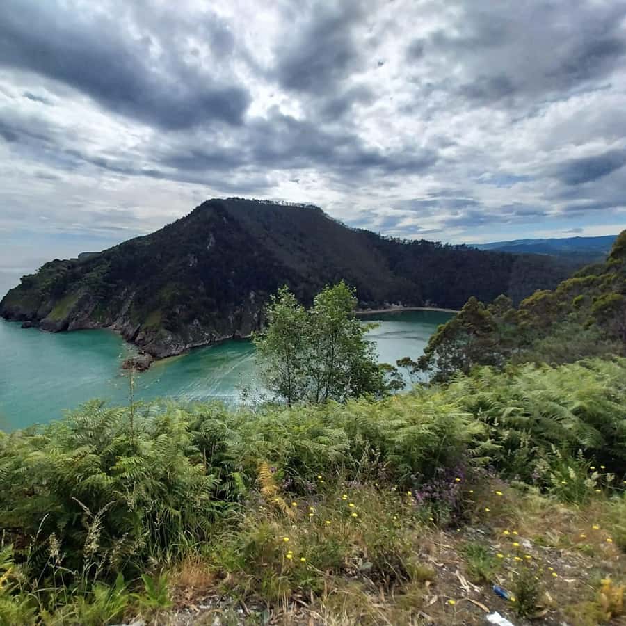 Galería de fotos para redes