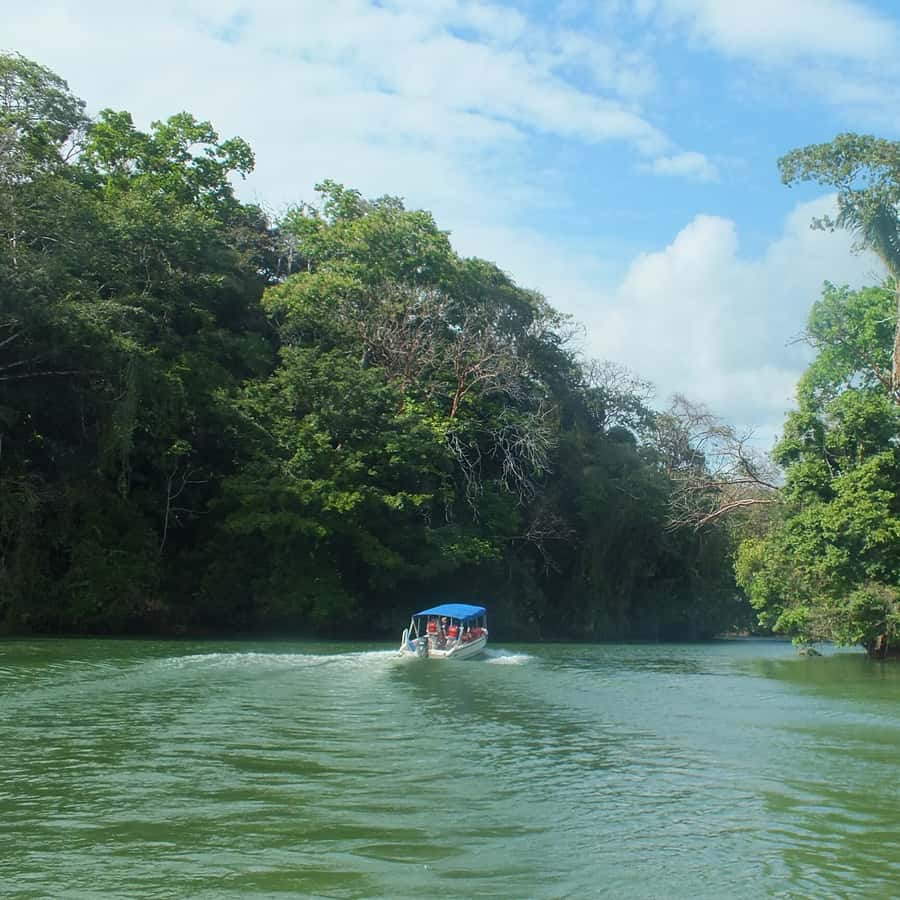 Colagem de mídia