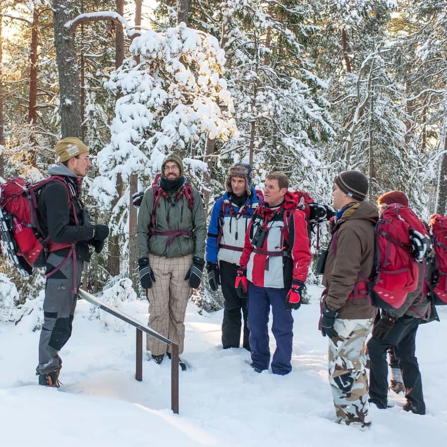 Stockholm: Winter Snowshoe Full-Day Hike GetYourGuide