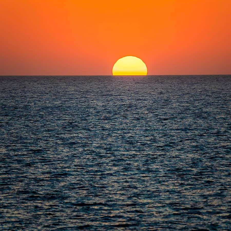 Galería de fotos para redes