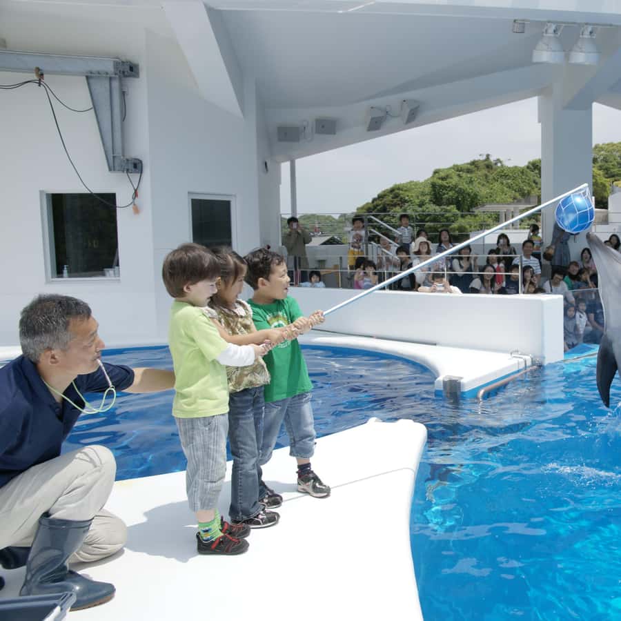 Kujukushima: Aquarium Umikirara Admission Ticket