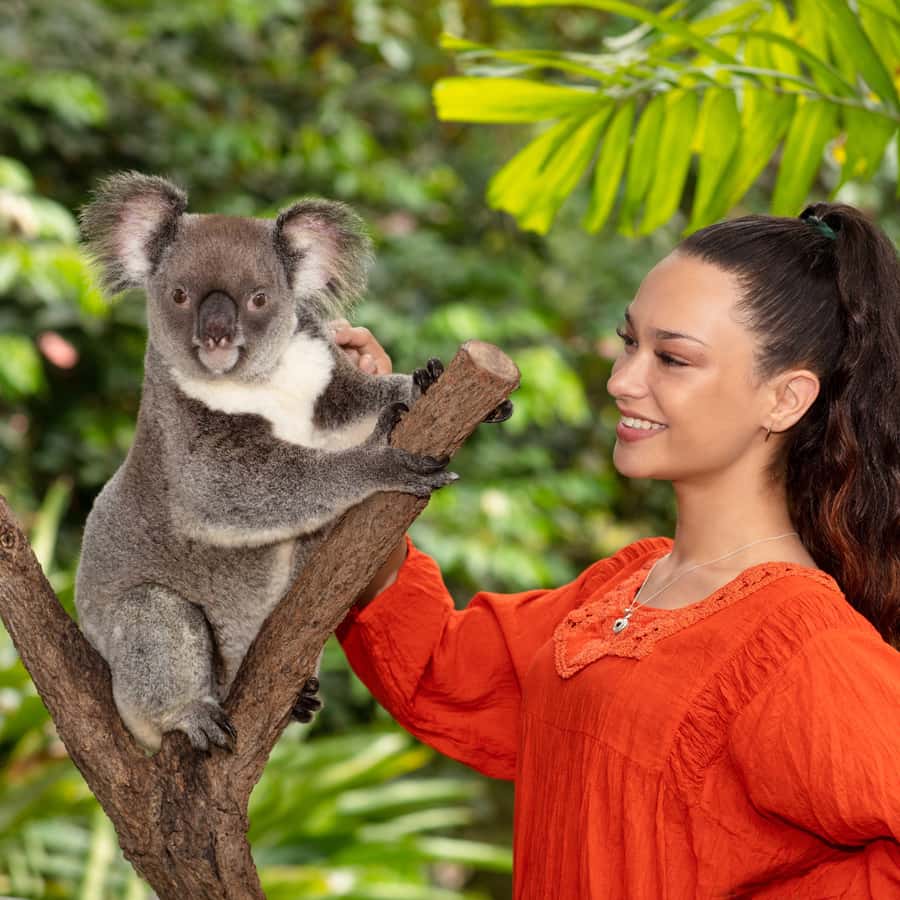 熱帯雨林の友の会パッケージ：コアラガーデン＆バードワールド