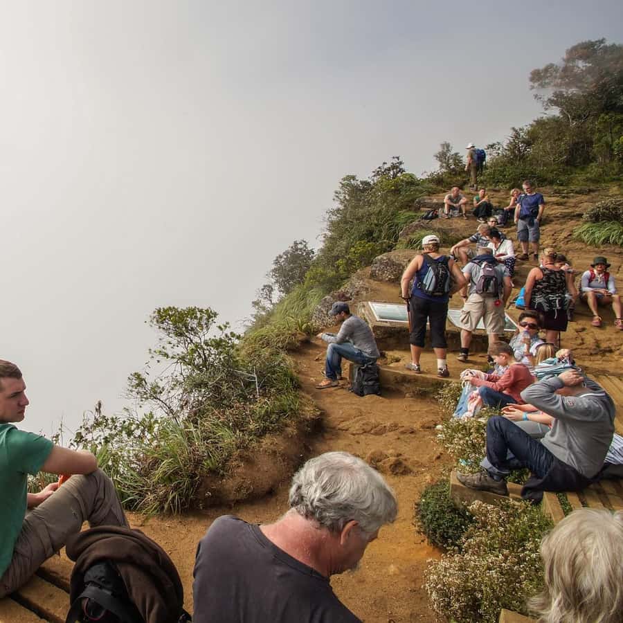 Bianca Ahangama (@wildlifeserendipitywithbianca) | Comunidade de fotos da  Unsplash, image size:900x900