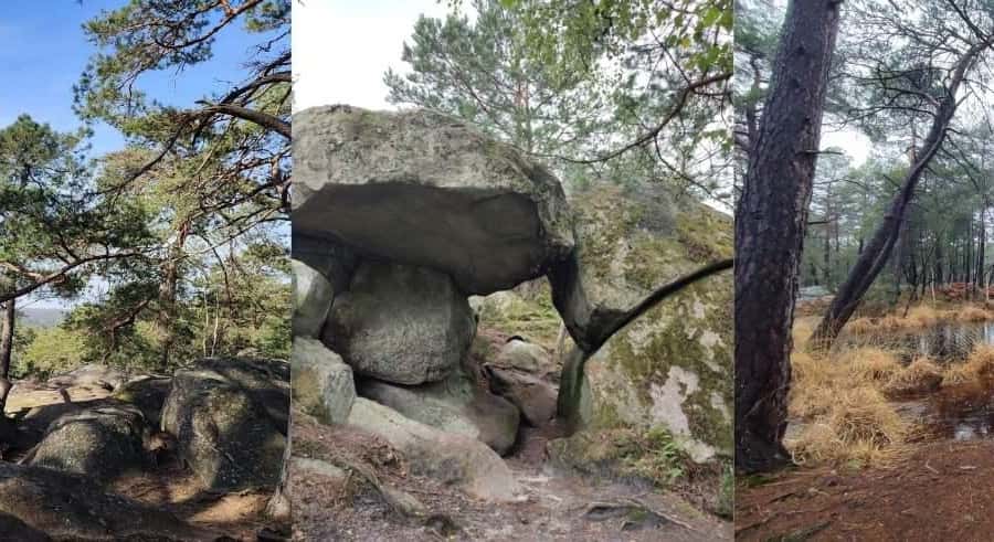 Mediacollage