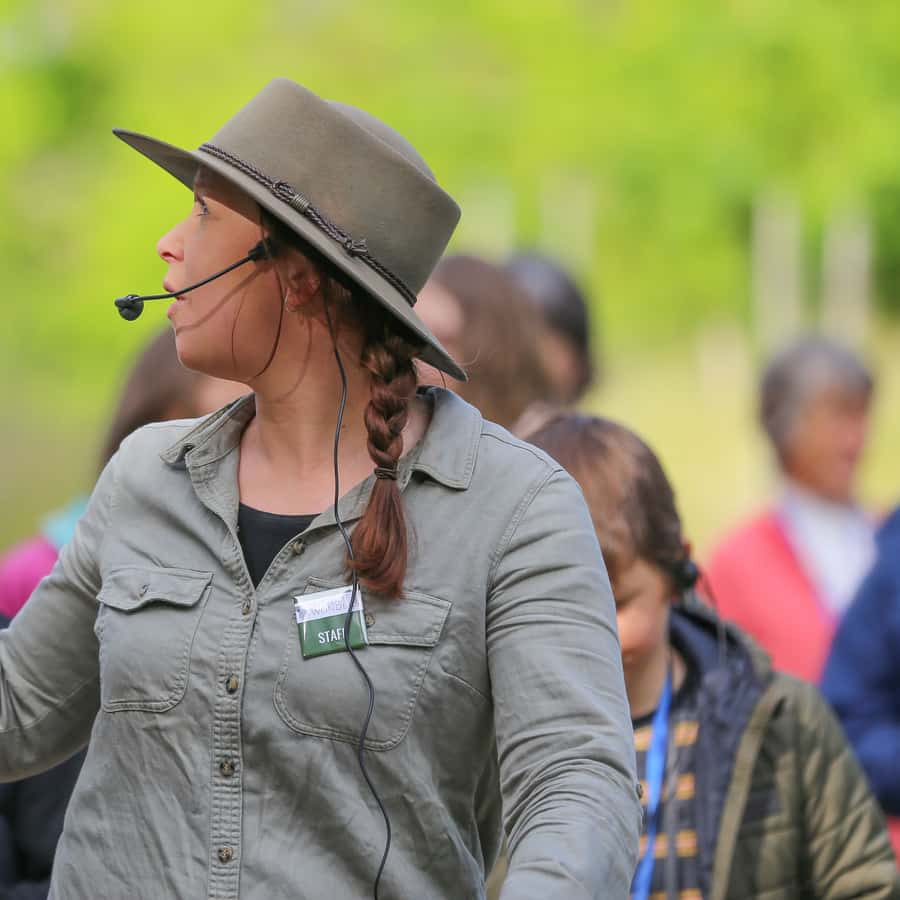 Great Ocean Road: Guided Wildlife Walk that Supports Nature