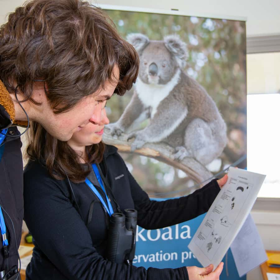 Great Ocean Road: Guided Wildlife Walk that Supports Nature