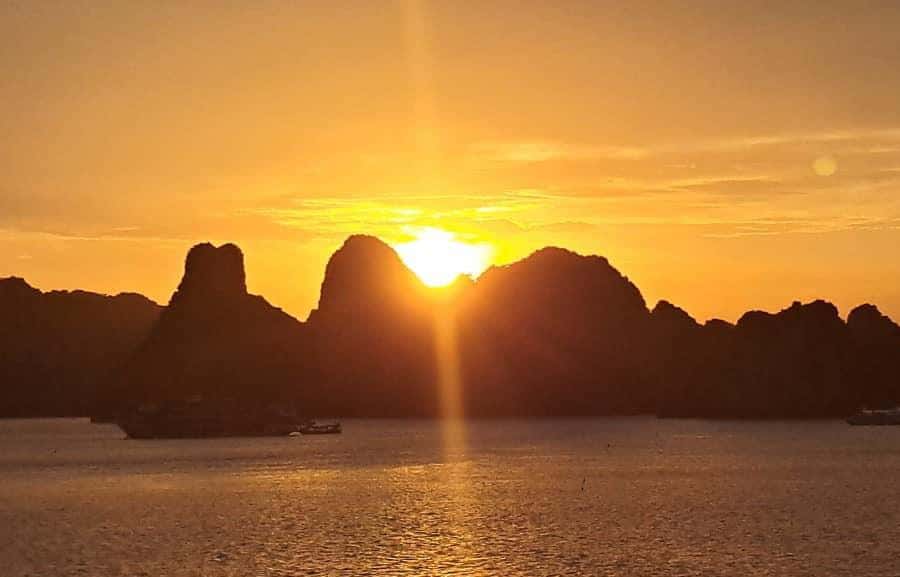 Galería de fotos para redes