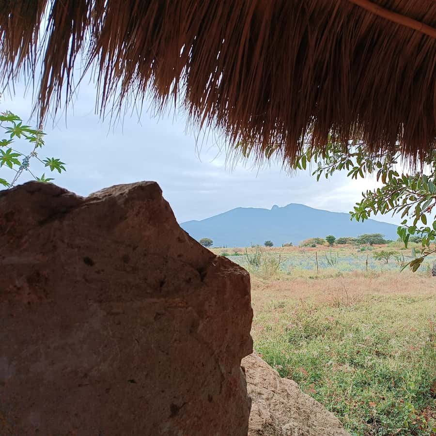 Galería de fotos para redes