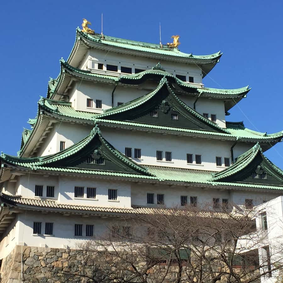 メディア コラージュ