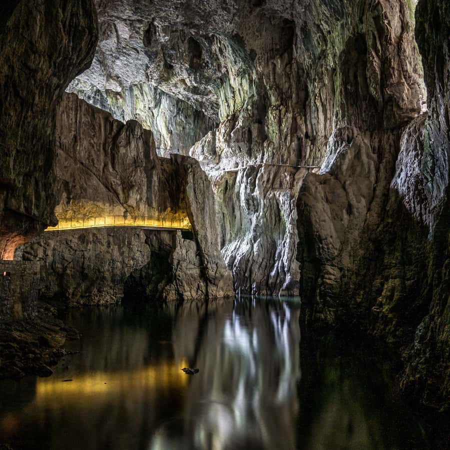 Galería de fotos para redes