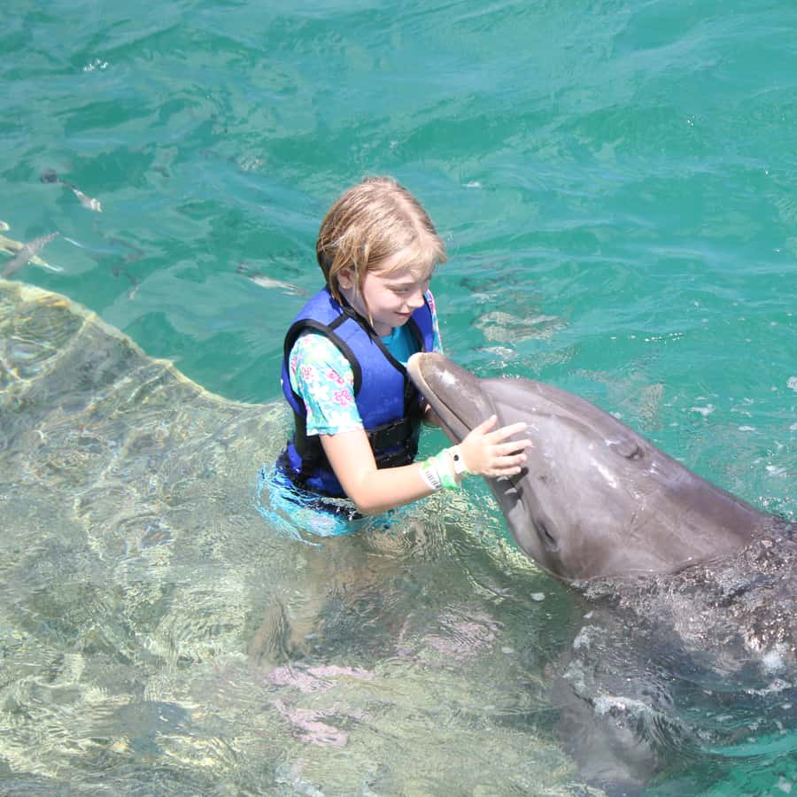 Saint Thomas: Swim with Dolphins at Coral World Ocean Park