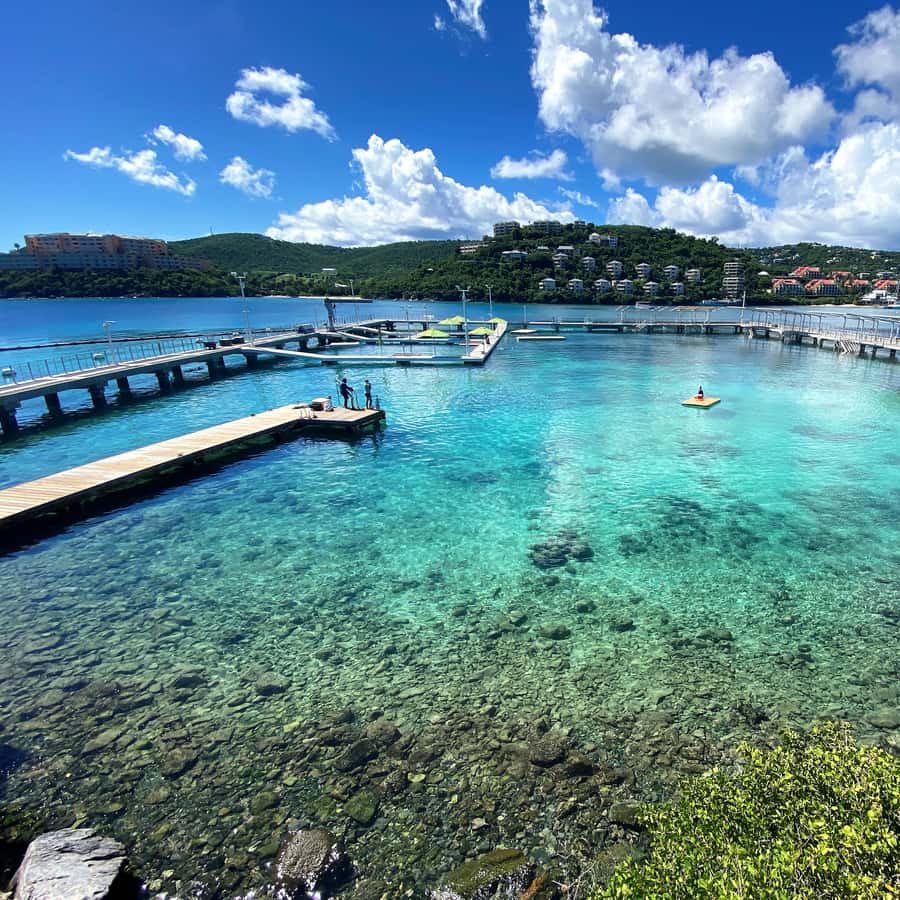 Saint Thomas: Swim with Dolphins at Coral World Ocean Park