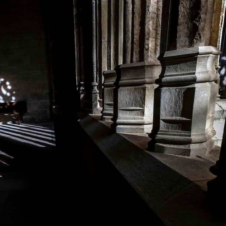 Galería de fotos para redes