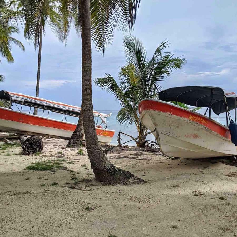Galería de fotos para redes