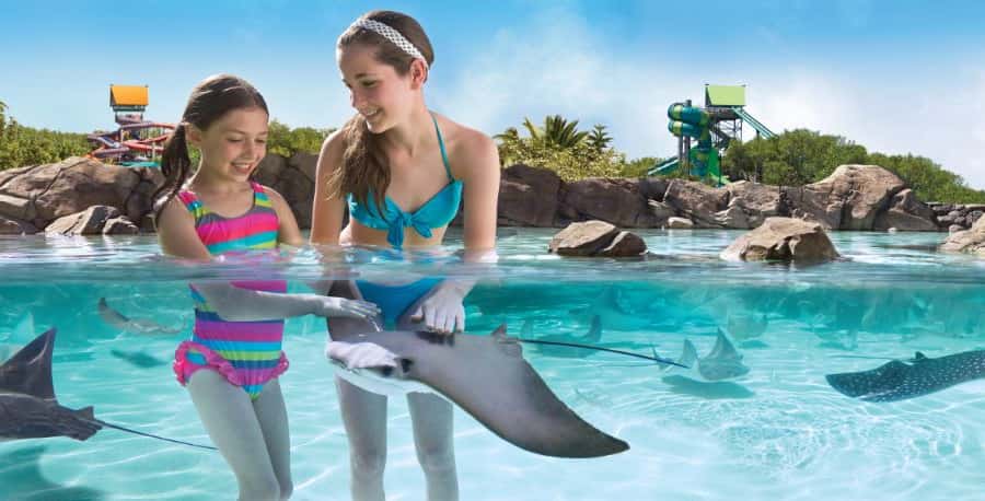 San Antonio: Aquatica Skip-the-Line Park Admission Ticket