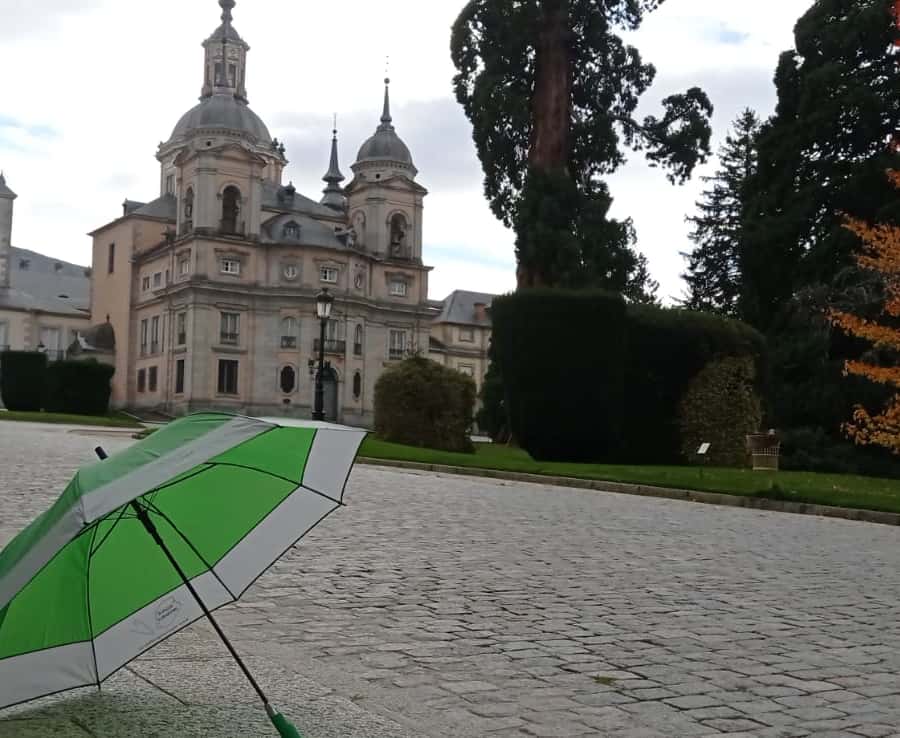 Galería de fotos para redes