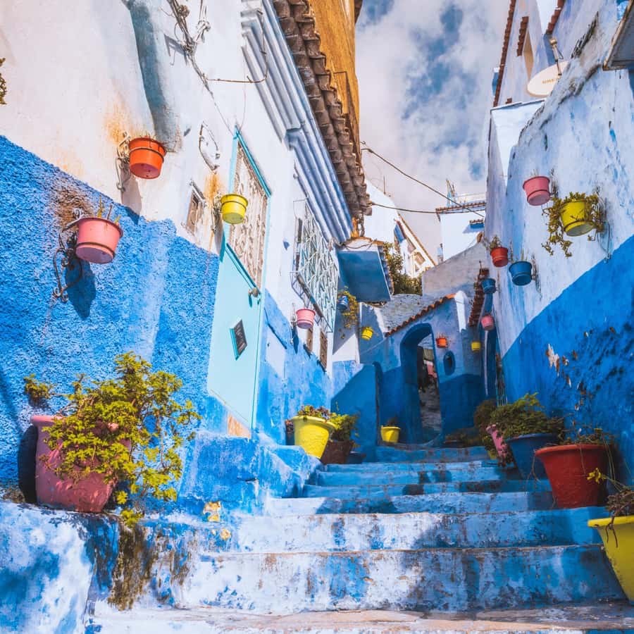 Galería de fotos para redes
