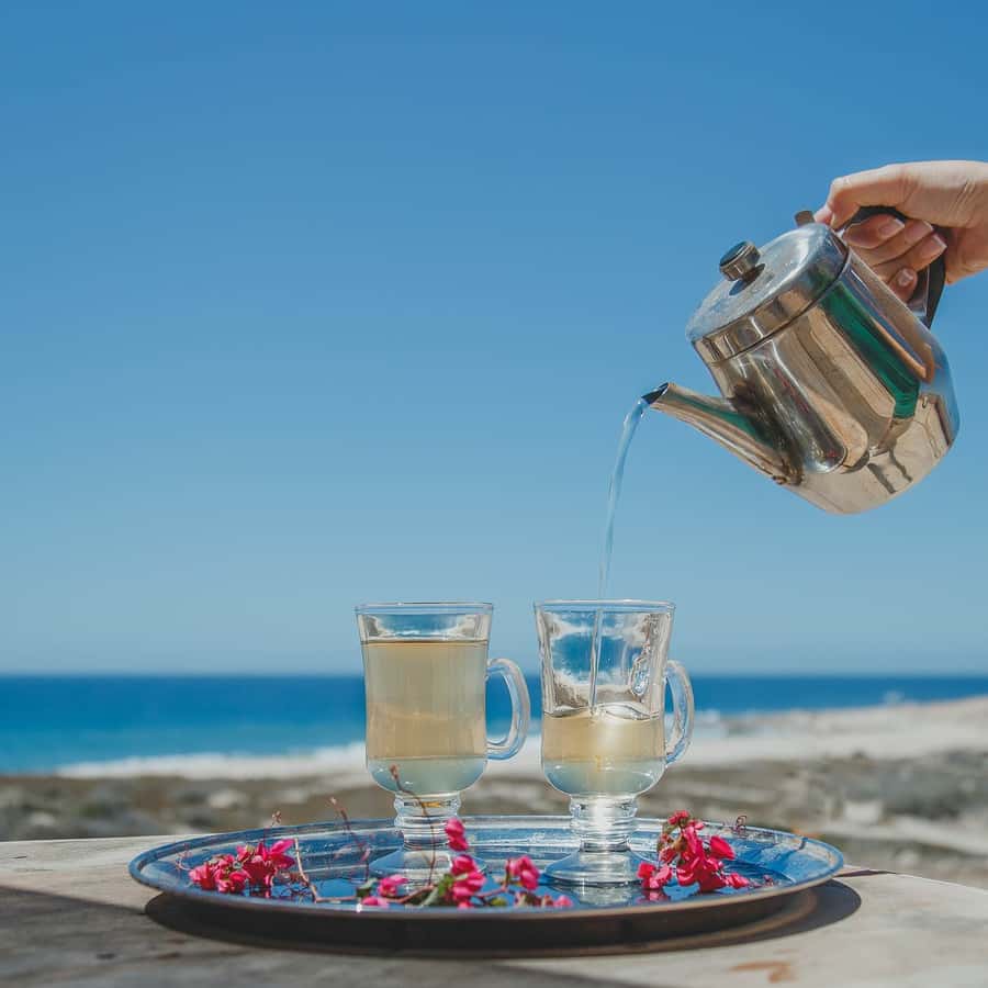 Los Cabos: Camel Ride Safari with Lunch and Tequila Tasting