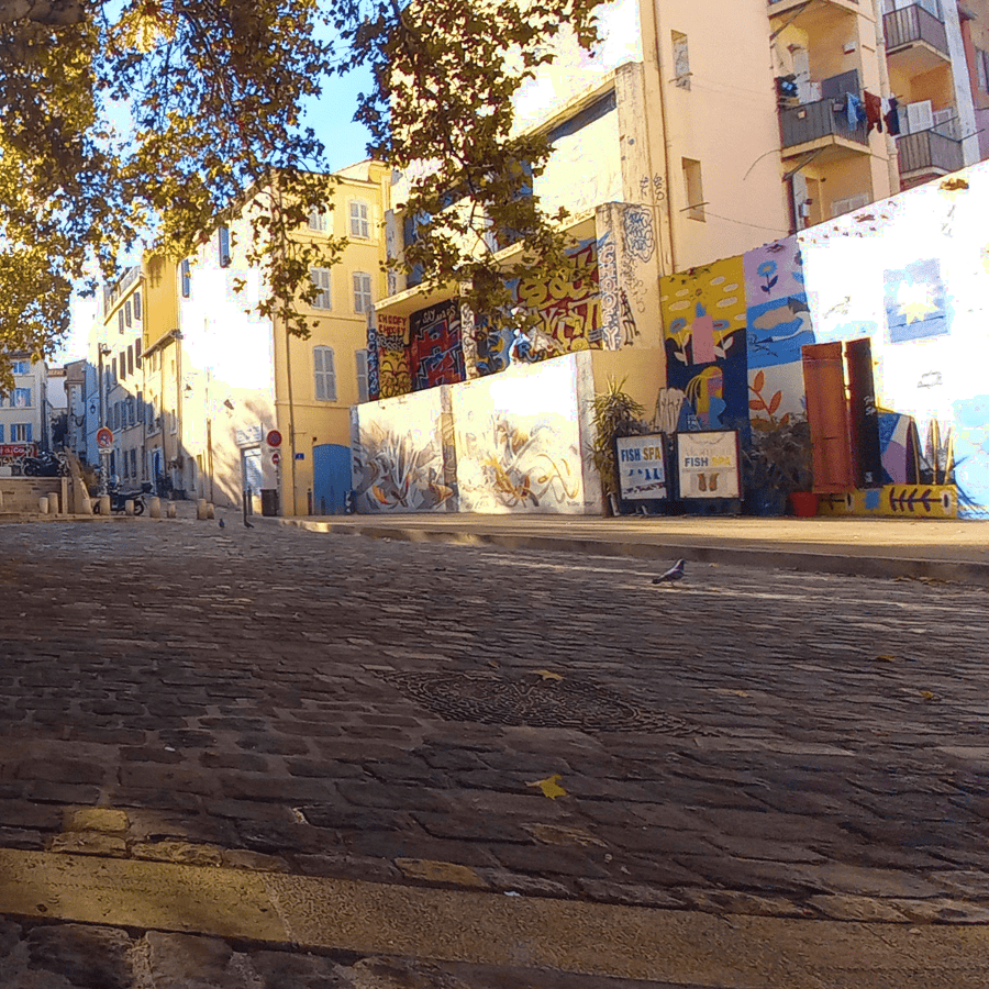 Galería de fotos para redes