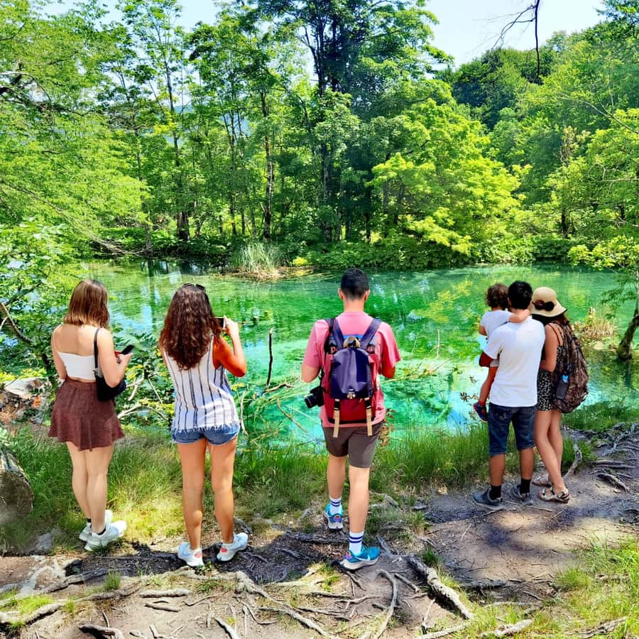 メディア コラージュ
