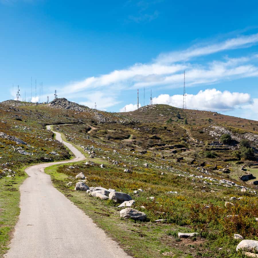 Colagem de mídia